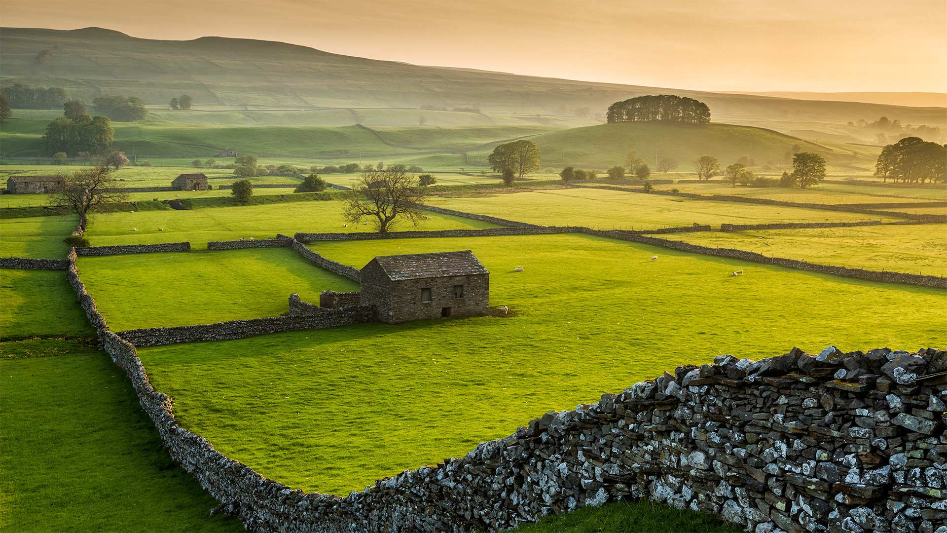 Wensleydale_ZH-CN8417818046_1920x1080.jpg