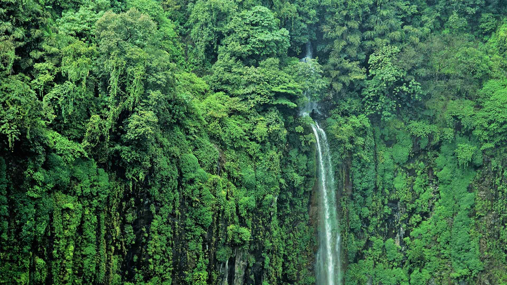 ThosegharWaterfalls_ZH-CN9371597122_1920x1080.jpg