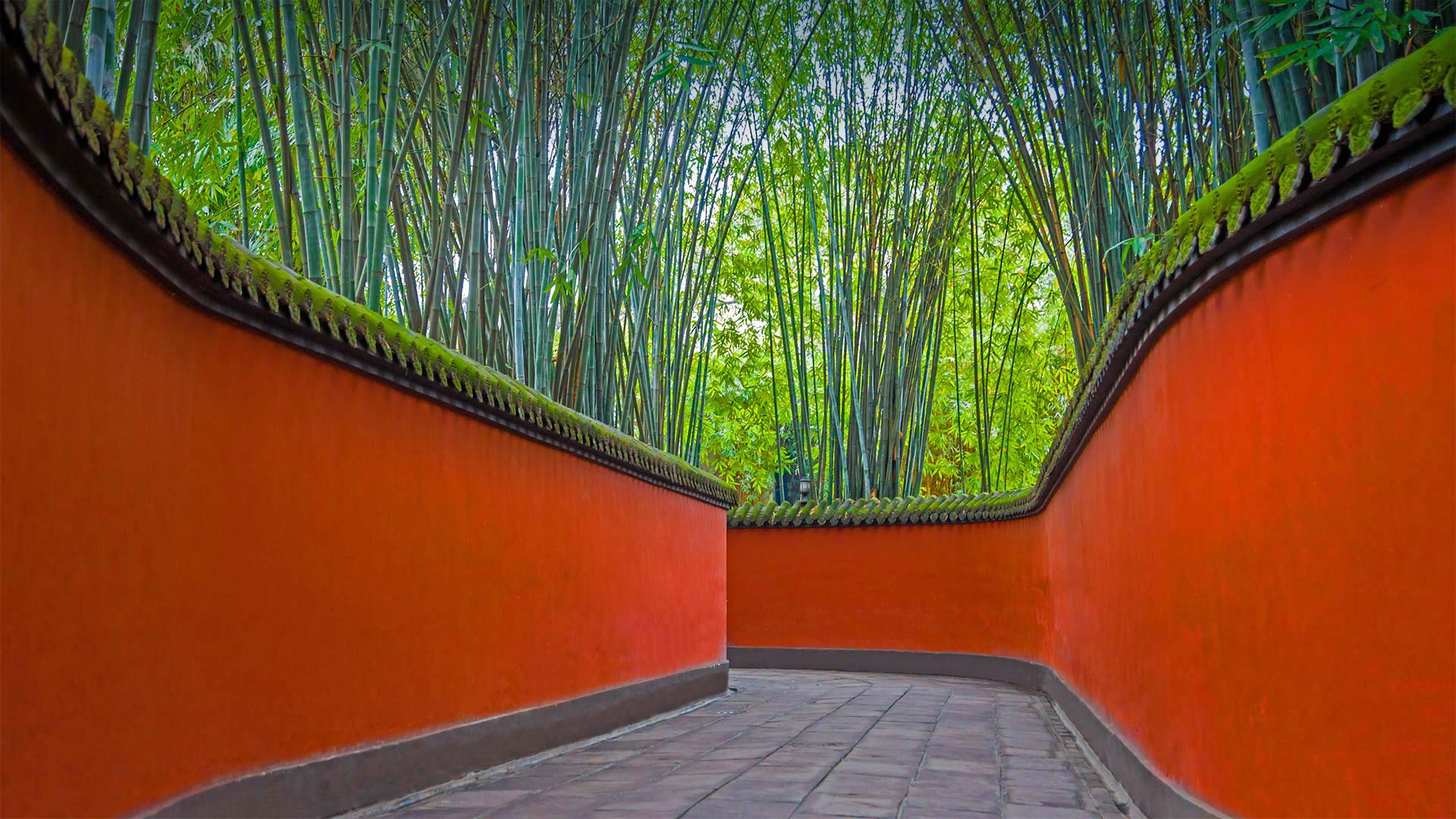 RedAlley_ZH-CN2795378972_1920x1080.jpg