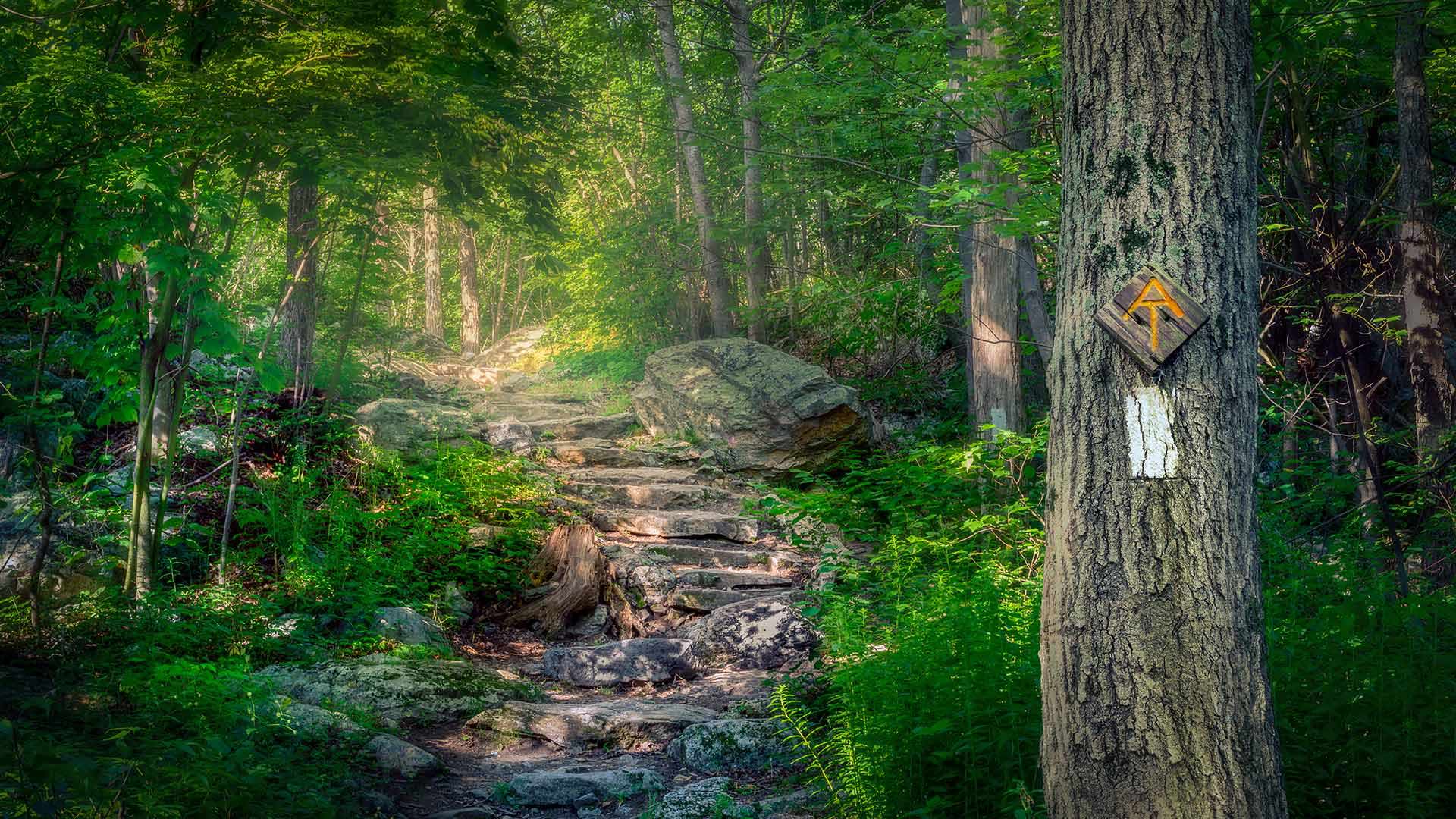 AppalachianTrail_ZH-CN5076145300_1920x1080.jpg