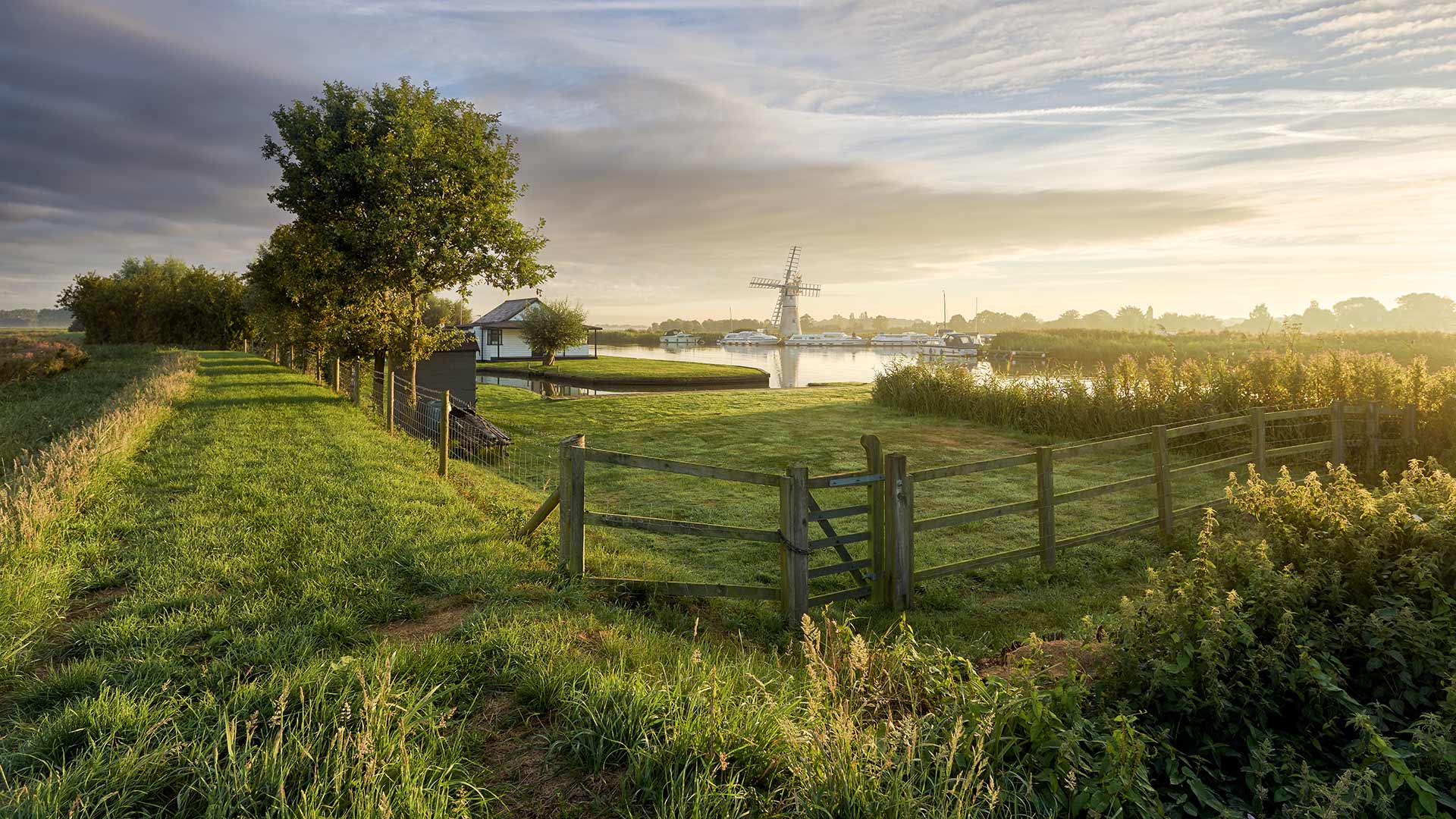 TheBroads_ZH-CN0485661191_1920x1080.jpg