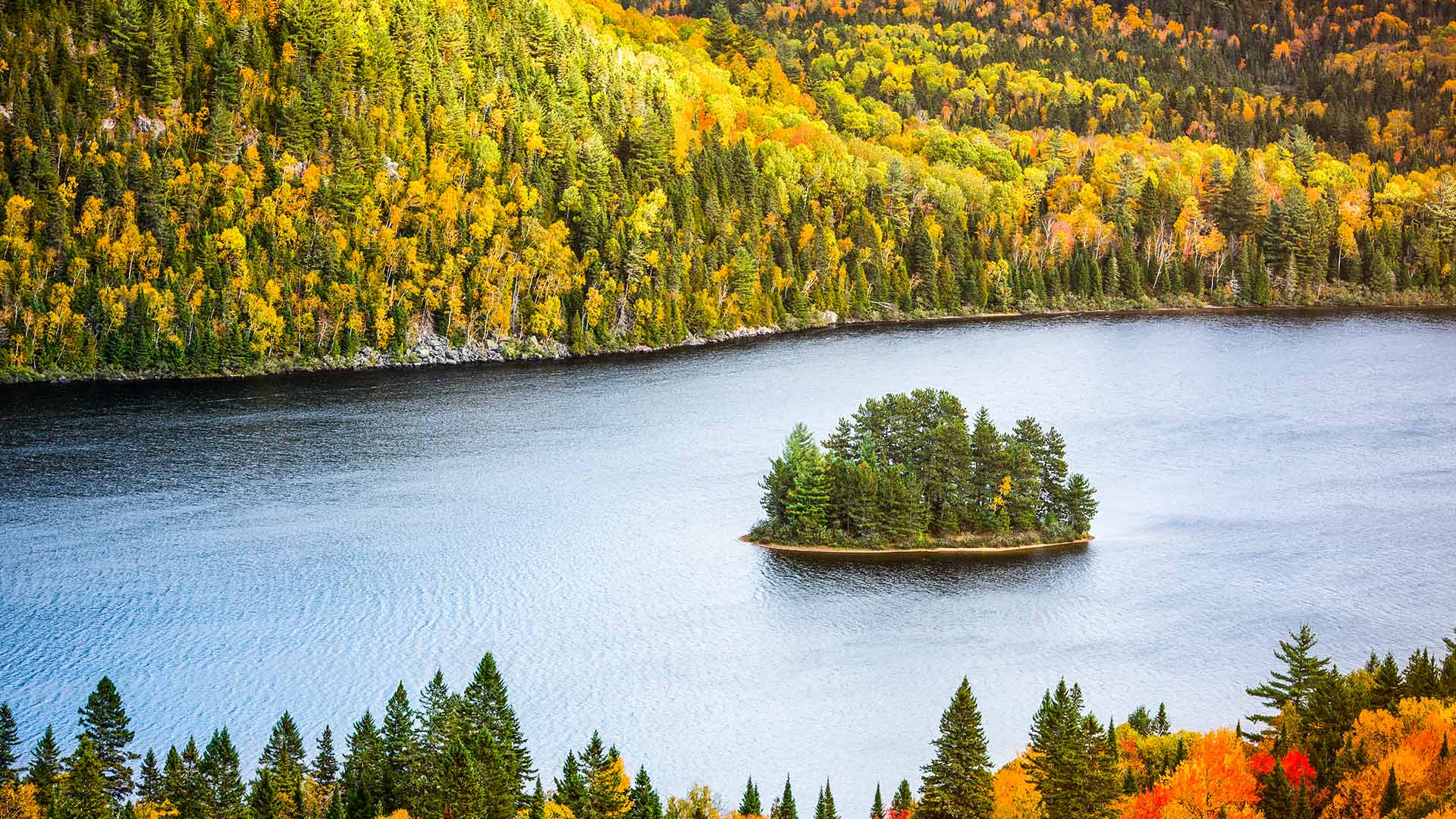 MauricieAutumn_ZH-CN3300167870_1920x1080.jpg