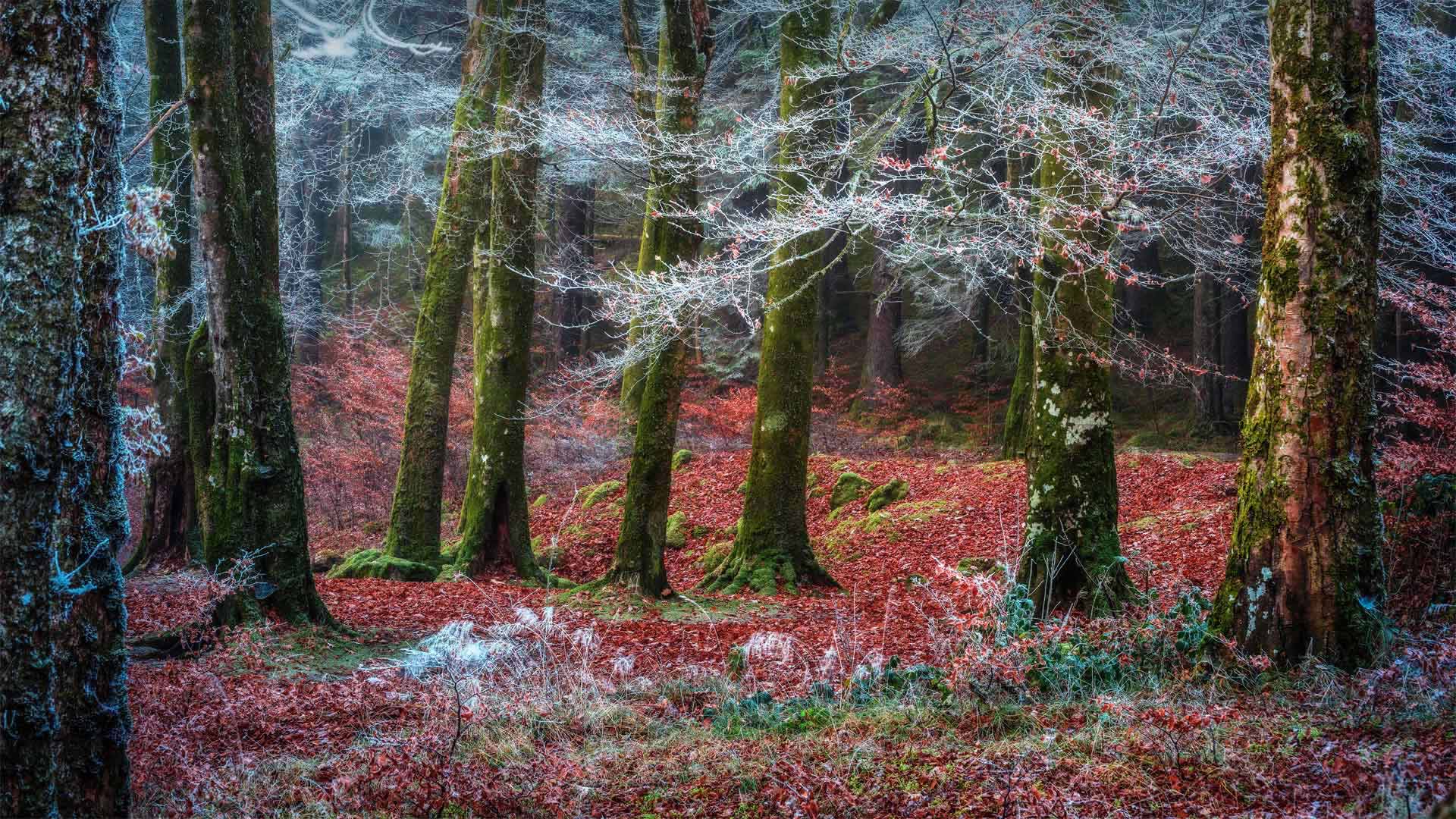 Invergarry_ZH-CN9013535988_1920x1080.jpg