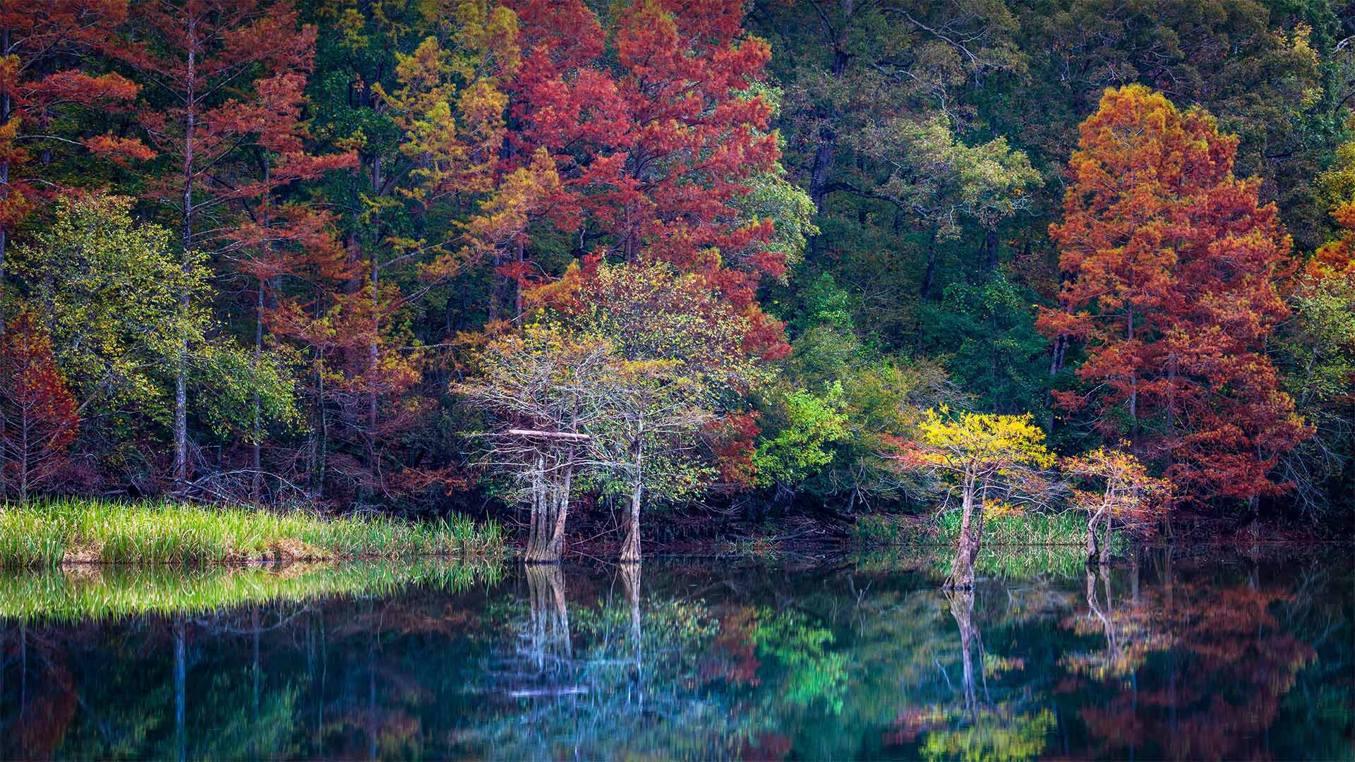 BeaversBend_ZH-CN1916035610_1920x1080.jpg