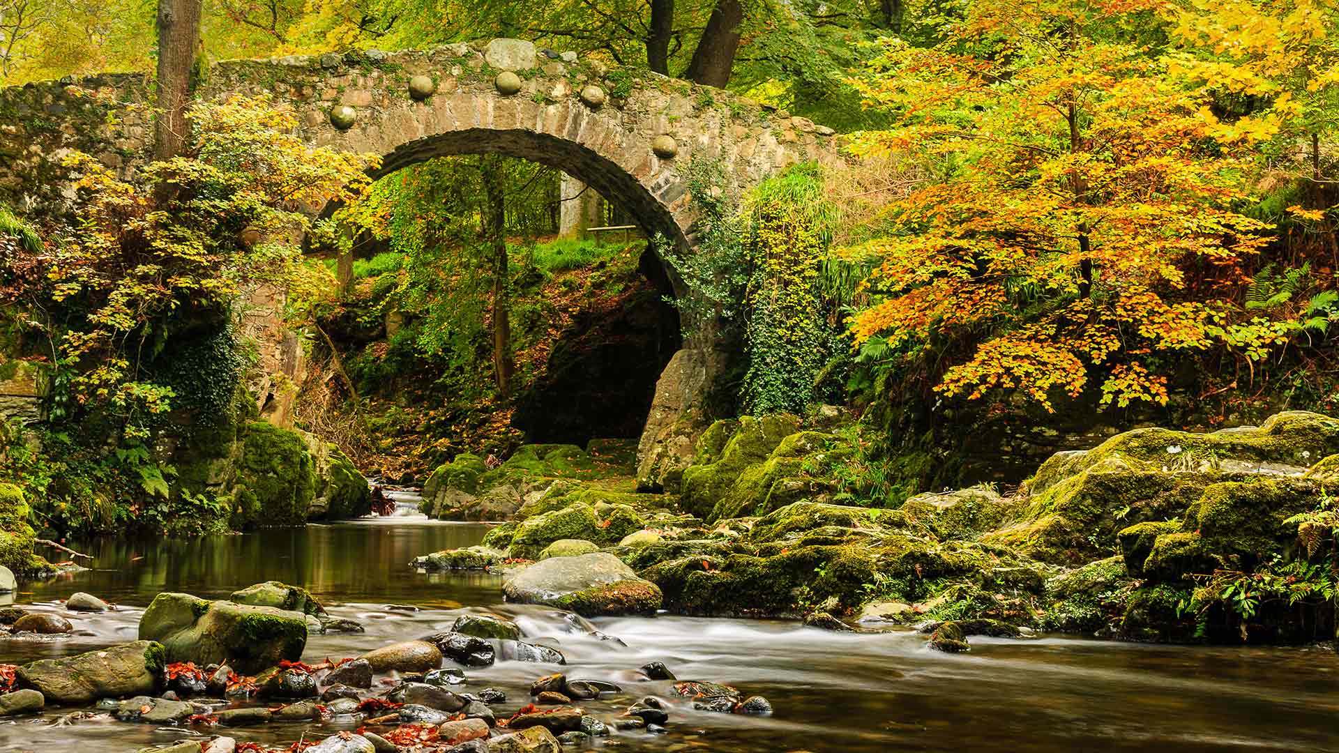 FoleysBridge_ZH-CN4338959688_1920x1080.jpg