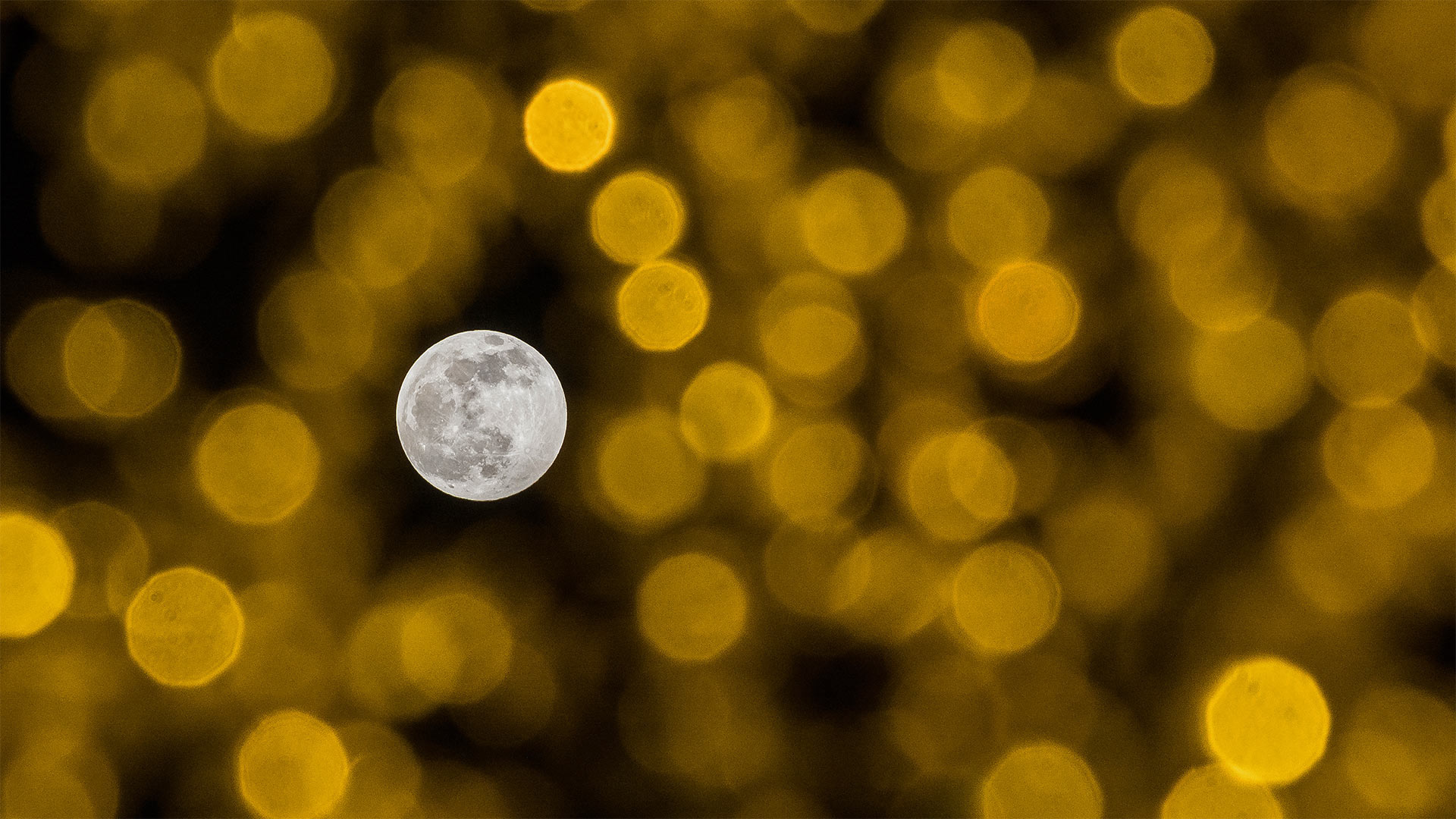 MoonBeforeYule_EN-CN1999219563_1920x1080.jpg