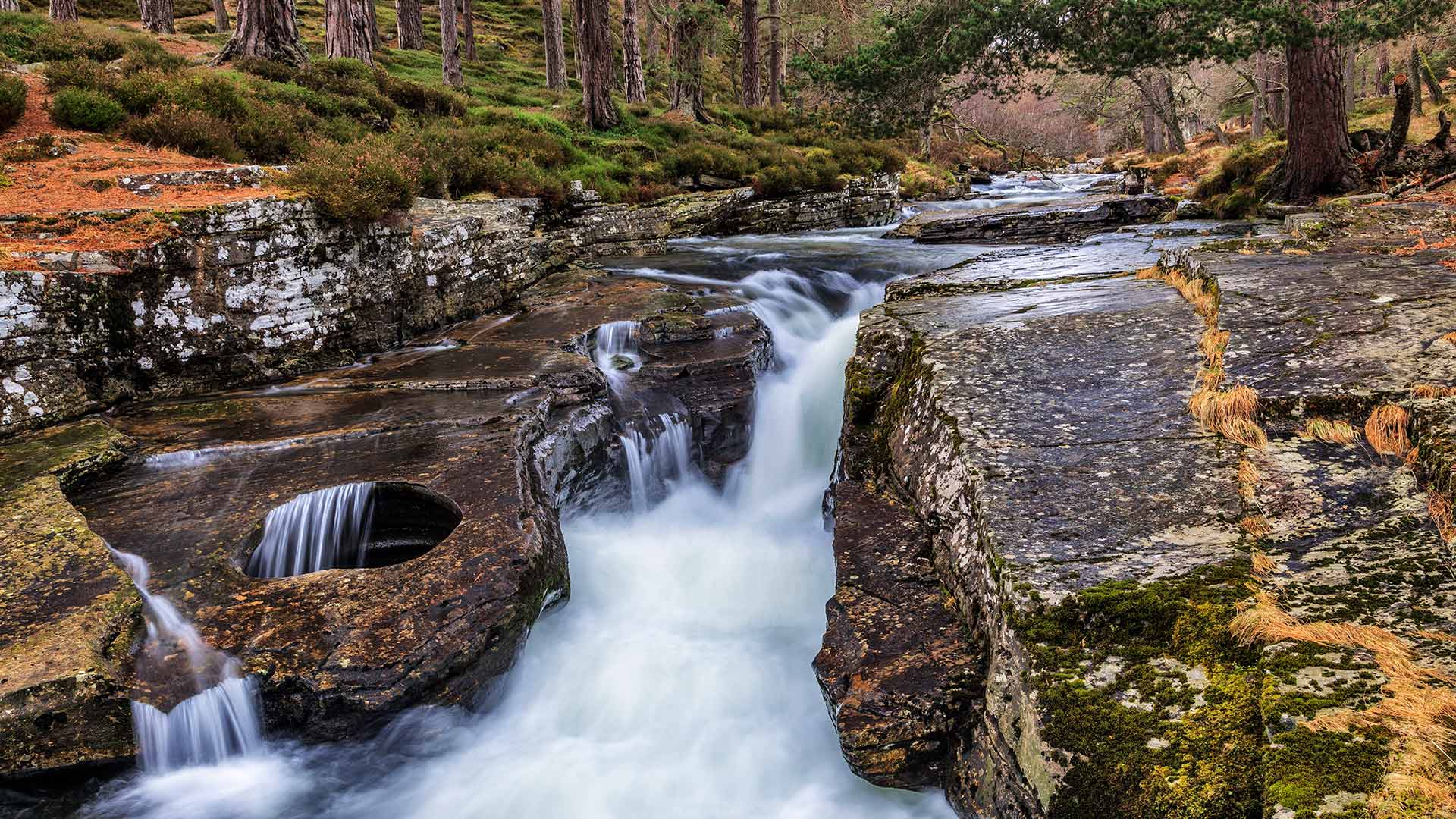QuoichBowl_ZH-CN5583756085_1920x1080.jpg