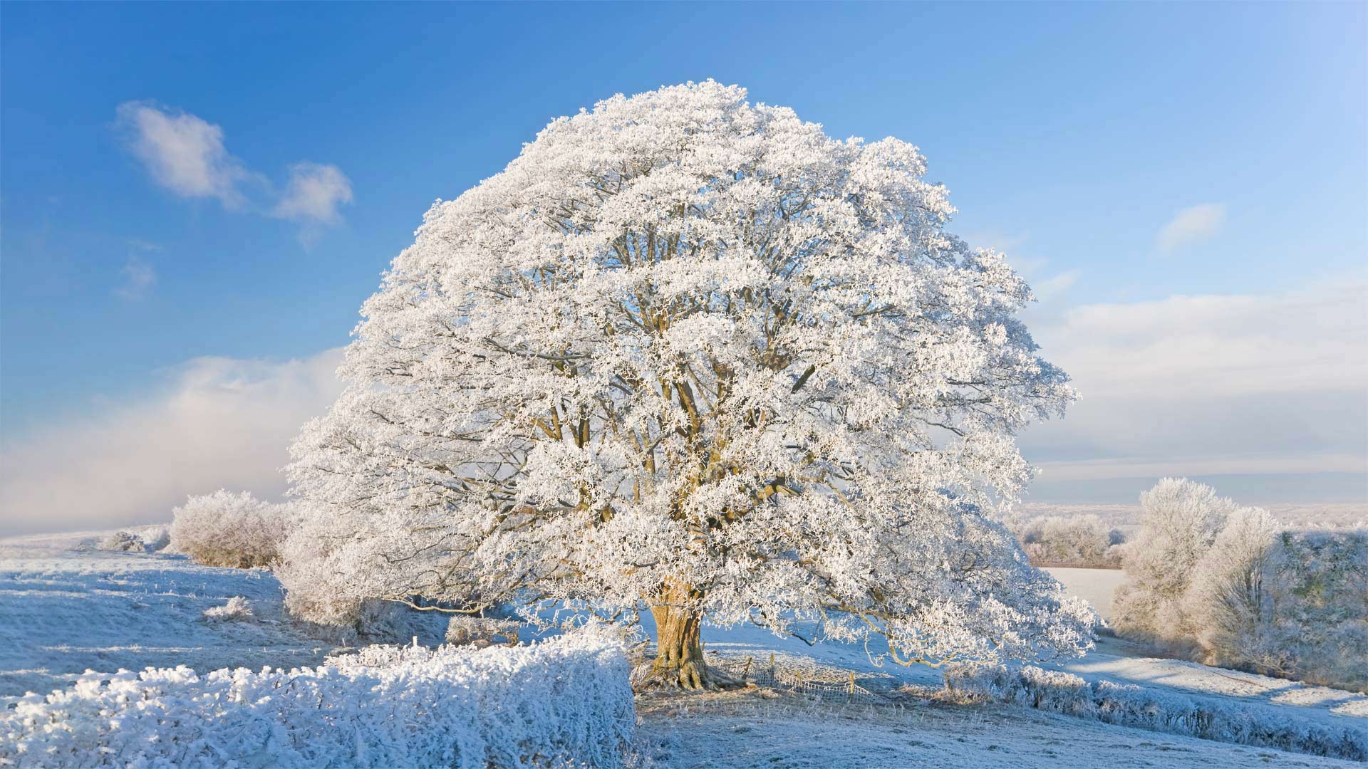 WinterCotswolds_ZH-CN6017348883_1920x1080.jpg