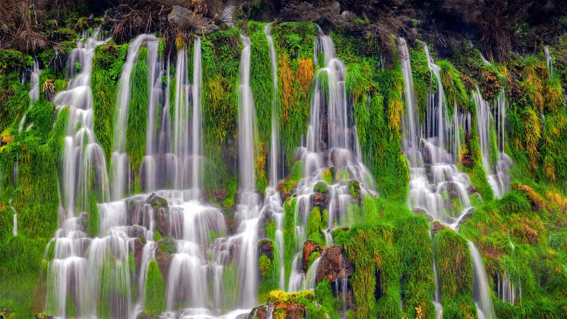 ThousandSprings_ZH-CN7431323804_1920x1080.jpg