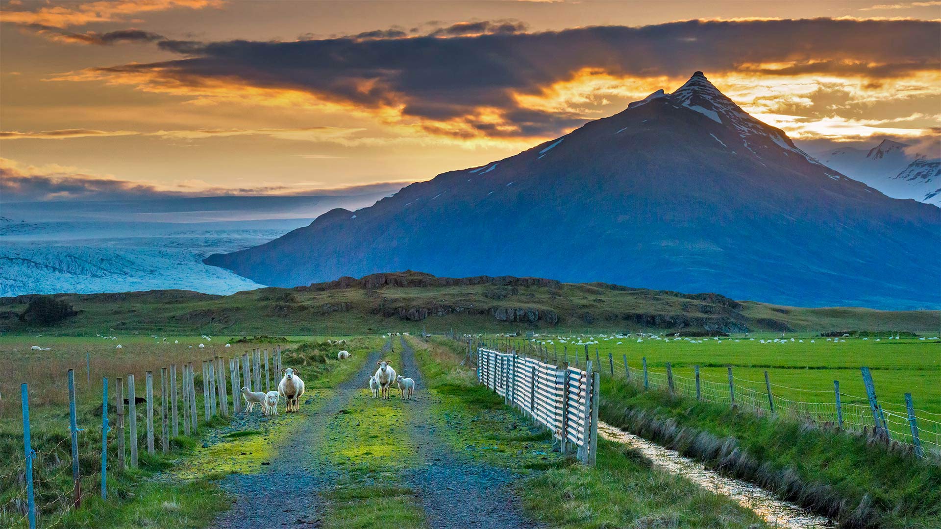 IcelandicSummer_ZH-CN1779278033_1920x1080.jpg