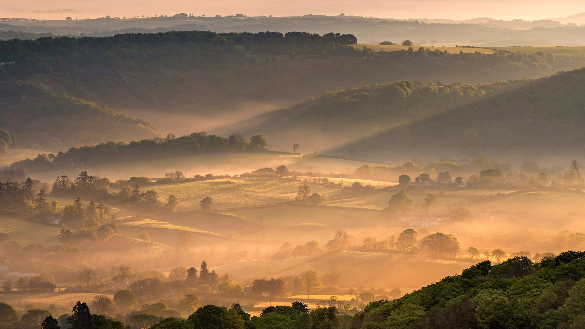 DartmoorMist_ZH-CN0317898466_1920x1080.jpg
