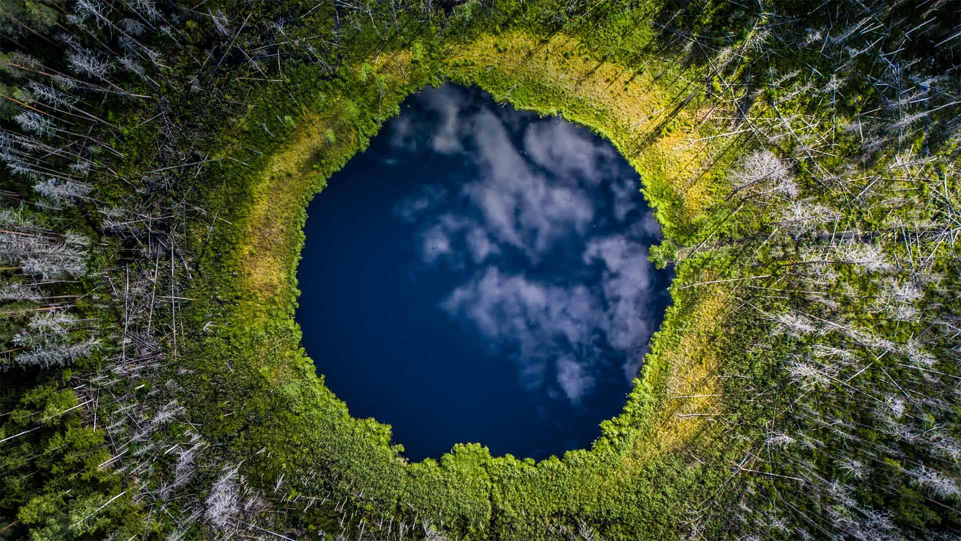 EarthDay2022_ZH-CN5733809629_1920x1080.jpg