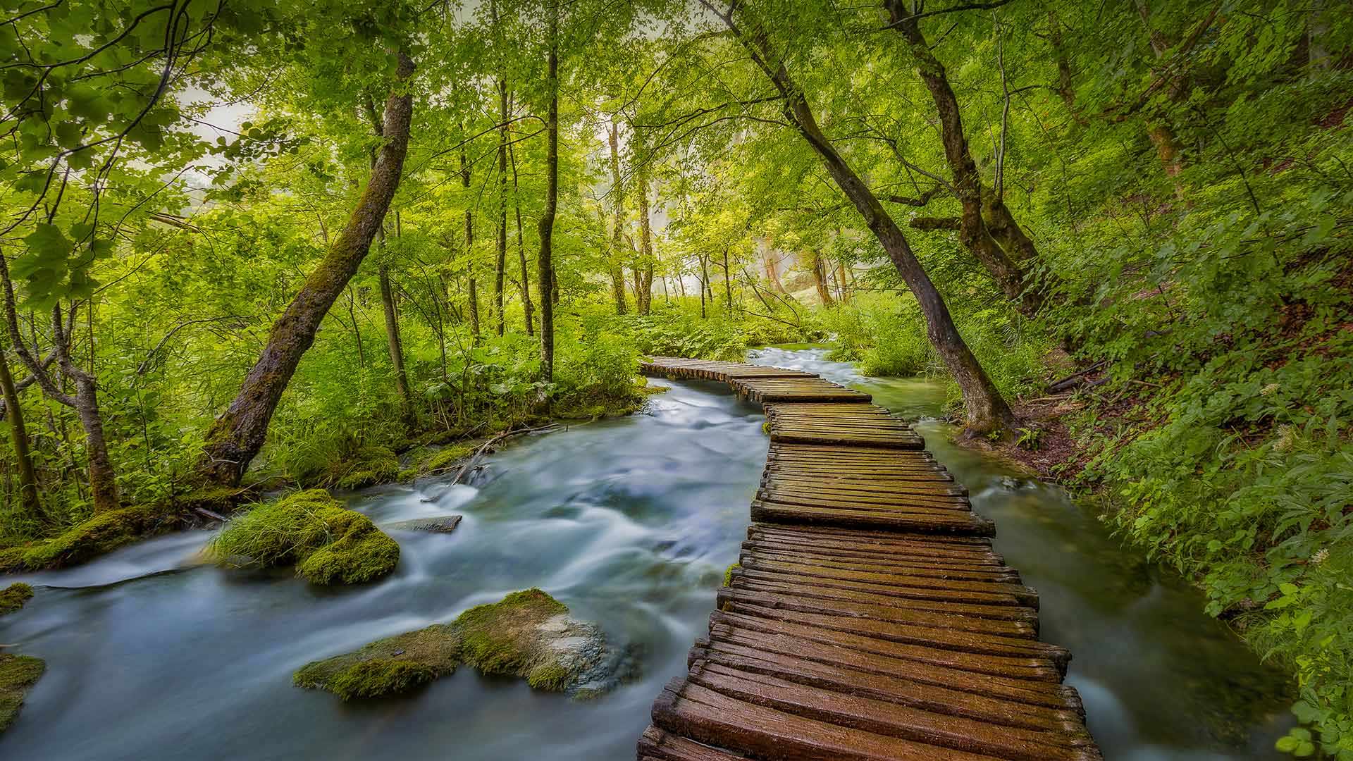 PlitviceBoardwalk_ZH-CN1370384104_1920x1080.jpg