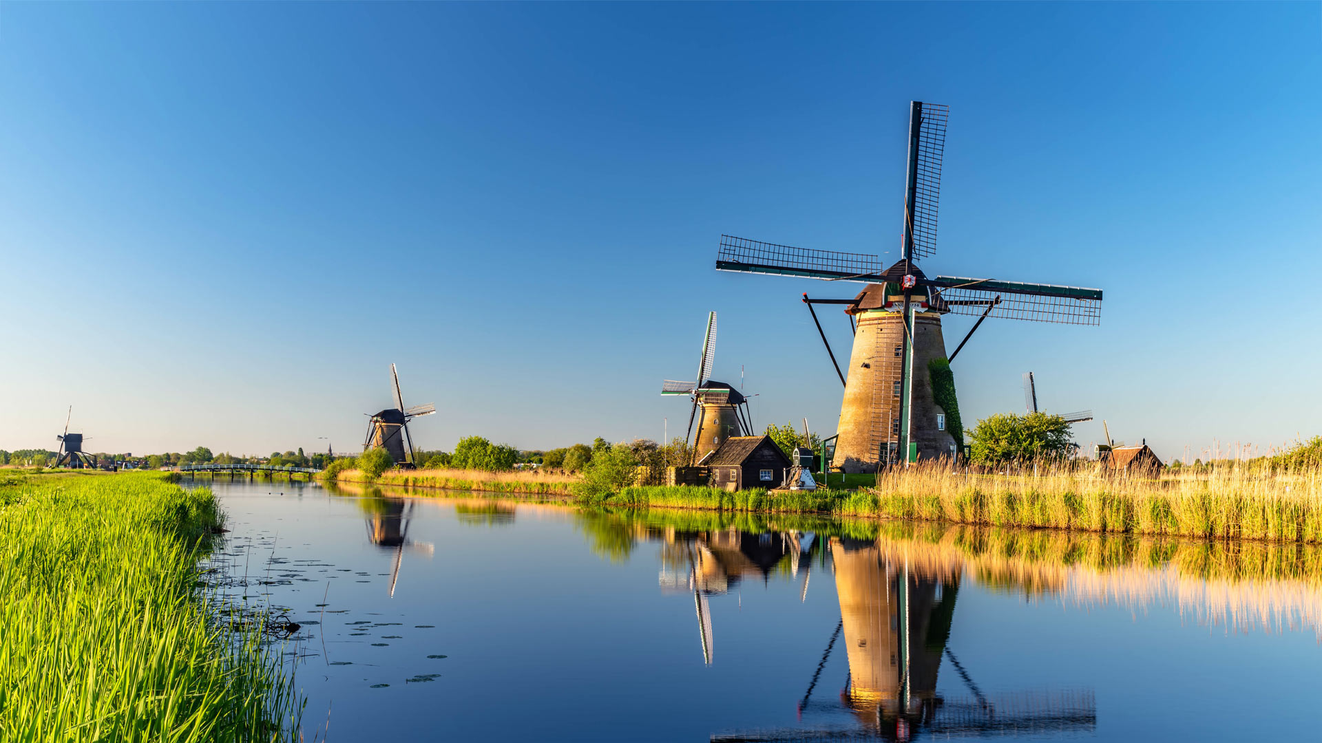 WindmillDay_ZH-CN3115996668_1920x1080.jpg