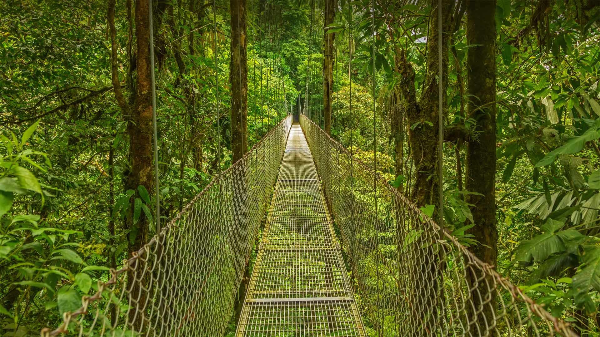 Monteverde_ZH-CN9598634812_1920x1080.jpg
