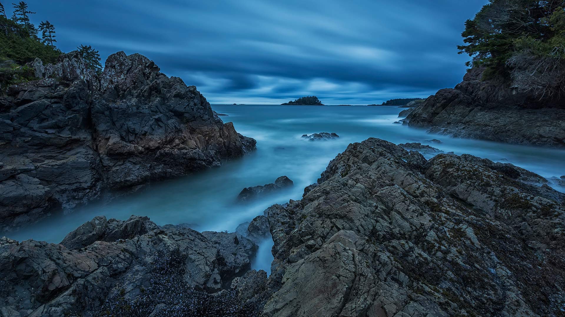 TofinoOcean_ZH-CN6555392161_1920x1080.jpg