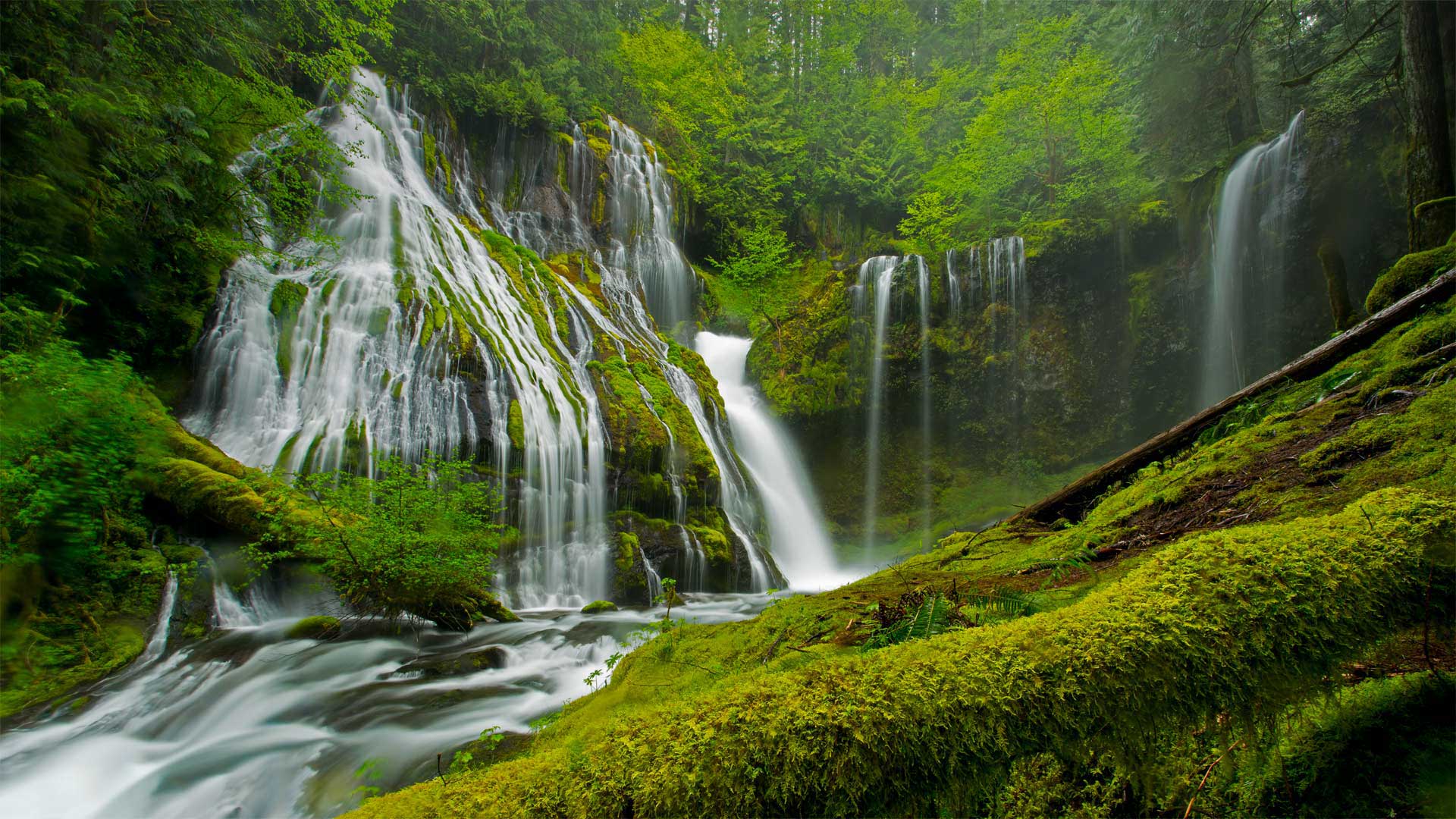 GiffordPinchot_ZH-CN2050686223_1920x1080.jpg