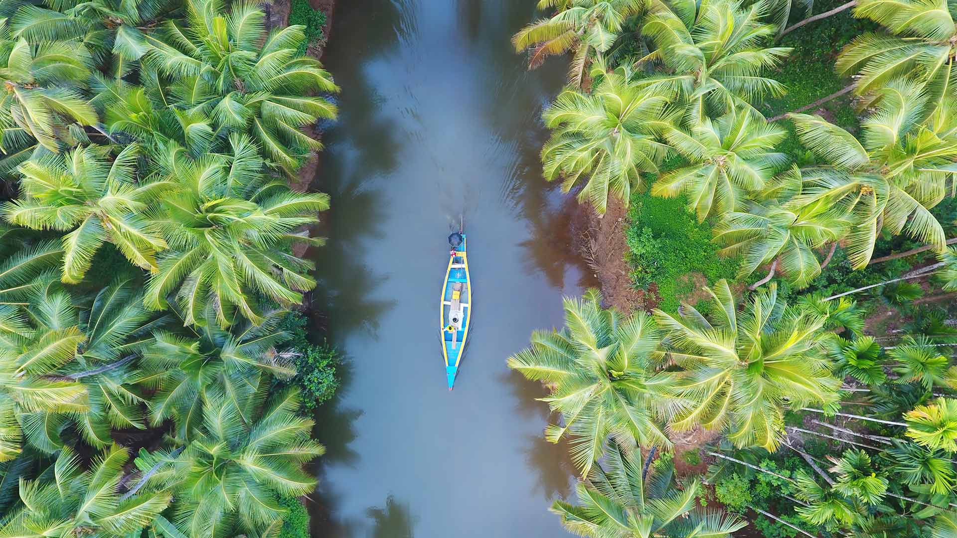 KeralaIndia_ZH-CN0125201857_1920x1080.jpg